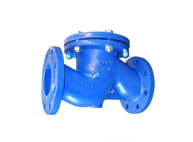 Lift Check Valve