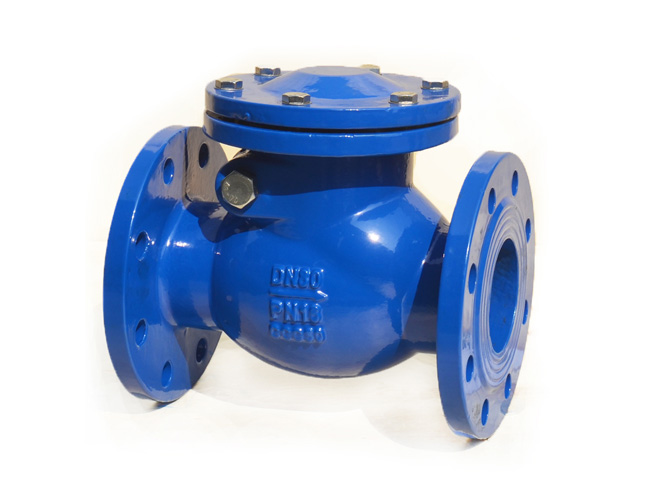 DIN Swing Check Valve