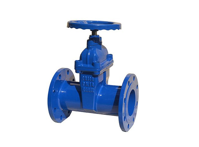 DIN3352 F5 Gate Valve