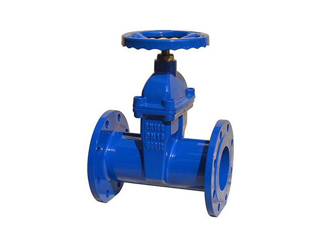 DIN3352 F5 Gate Valve With Brass Nut