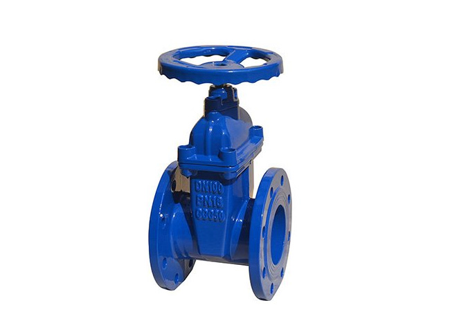 DIN3352 F4 Gate Valve