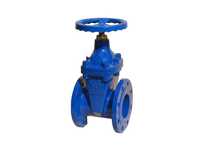 DIN3352 F4 Gate Valve With Brass Nut